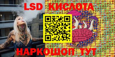 дмт Краснодар