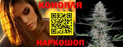 дмт Краснодар